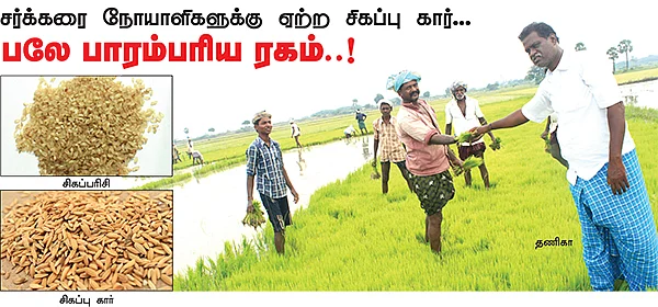 சர்க்கரை நோயாளிகளுக்கு ஏற்ற சிகப்பு கார்...