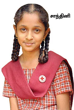 உள்ளம் கவர் சாந்தினி