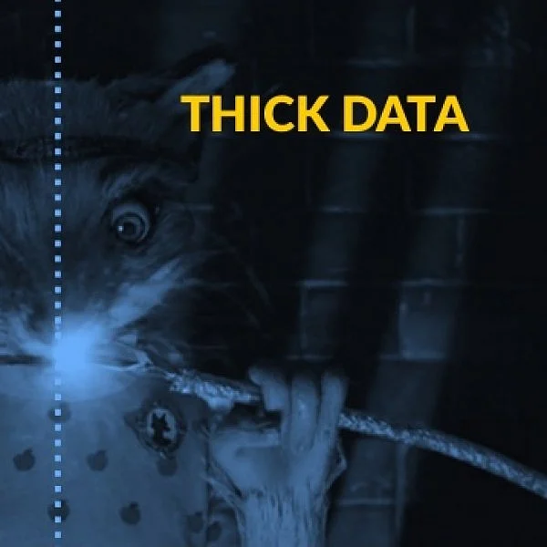 பிக் டேட்டா தெரியும்... திக் டேட்டா தெரியுமா? #ThickData