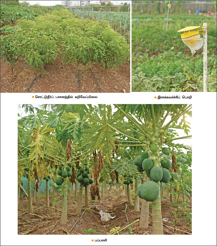 2 ஏக்கர் நிலம்... மாதம் ரூ.60,000... மாநகரில் செழிக்கும் இயற்கை விவசாயம்!