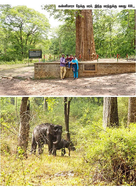 பச்சை சொர்க்கம் பரம்பிக்குளம்! - விருத்தாசலம் to பரம்பிக்குளம்