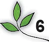 அன்பே தவம் - 6
