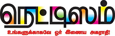 நெட்டிஸம்