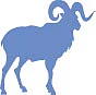 ராசி பலன்கள்