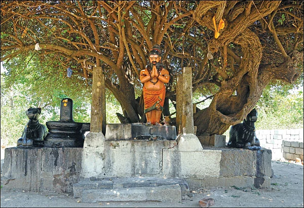 அகத்திய தரிசனம்! - சிலிர்ப்பூட்டும் தகவல்கள்