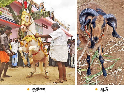 குதிரை ரூ.25 லட்சம்...நாய் ரூ.85 ஆயிரம் !