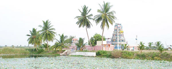 அல்லல் நீக்கும் ஆதி பிருஹத் சனீஸ்வரர்!