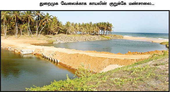 மோதலைத் தூண்டுகிறாரா பச்சைமால்?