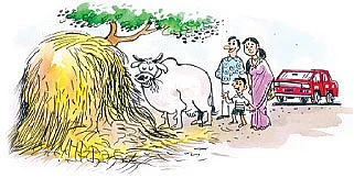 குட்டீஸ் குறும்பு !