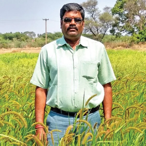 சிறுதானியச் சாகுபடிக்கு ஏற்ற சித்திரை மாதம்!