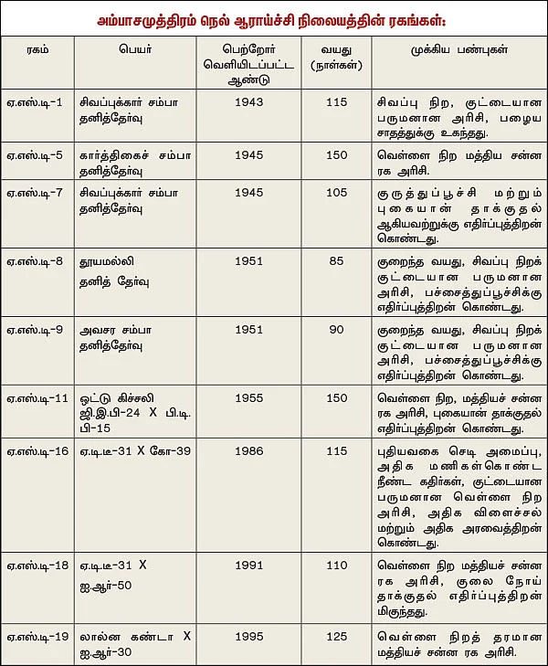 அணிவகுக்கும் அம்பாசமுத்திரம் நெல் ரகங்கள்... - ஏக்கருக்கு 16 டன் மகசூல் தந்த அதிசயம்!