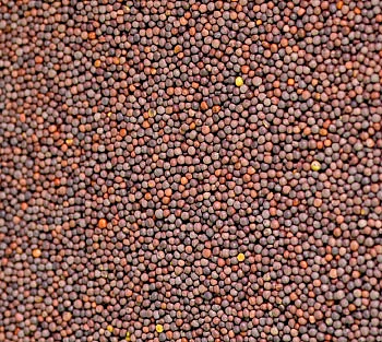 அஞ்சறைப்பெட்டி அருமருந்து