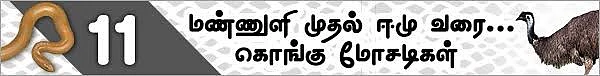 மண்ணுளி முதல் ஈமு வரை! (மிரள வைக்கும் கொங்கு மோசடிகள் - 11)