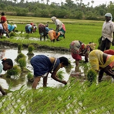 “அரசின் கொள்கைகள்தான் எங்களைக் கொல்கிறது!”: விவசாயிகள் #FarmersDay