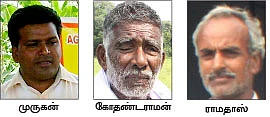 மாற்றுப் பயிராக மக்காச்சோளம்!