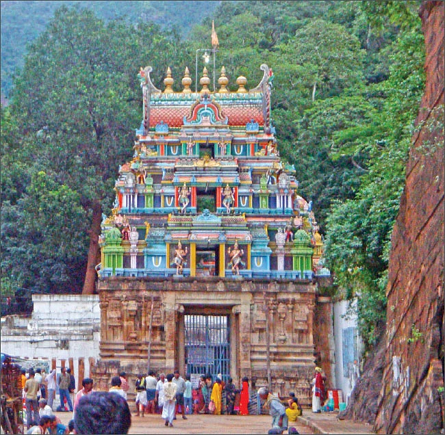 விழாக்கள் விசேஷங்கள்!