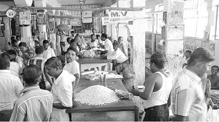 சக்கைப்போடு போடும் இயற்கை சம்பங்கி!