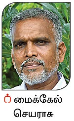 நல்மருந்து தெரிந்த செடிகள்... தெரியாத பயன்கள்! - 16