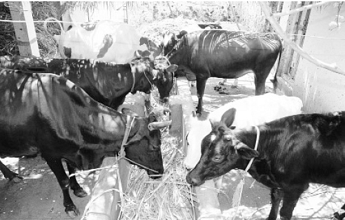 சின்னச் சின்ன நுட்பங்கள்... பெரிய அளவில் பலன்கள்...!