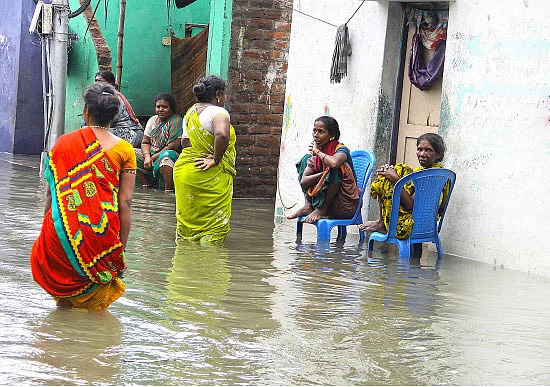மீண்டும் மழை நோய்கள்!