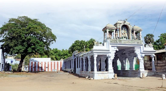 ஸ்ரீநடராஜர் தரிசனம்! - ஆலமரத்தூர்