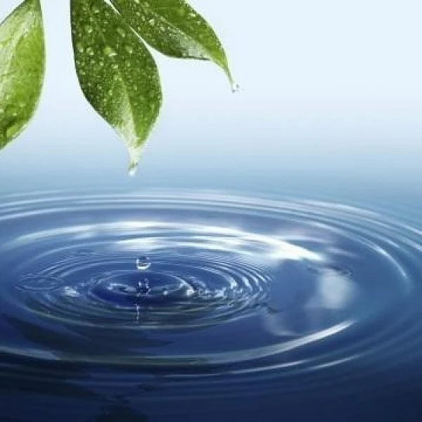 Why and how much should one drink water?