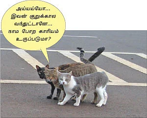 கேள்வி - பதில்