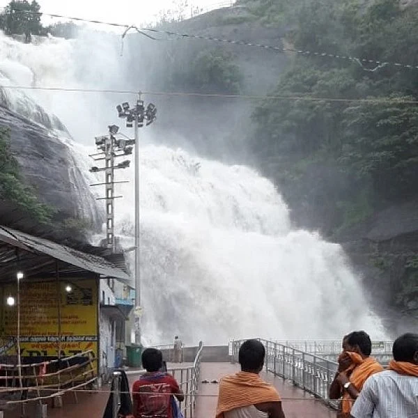 ஆர்ப்பரிக்கும் வெள்ளம்: குற்றால அருவியில் குளிக்கத் தடை!
