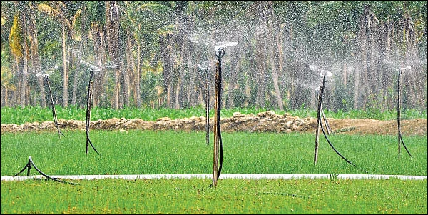 தண்டோரா