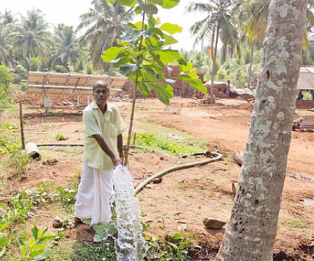 பஞ்சமில்லா பண்ணைக்குட்டை... ஊடுபயிருக்கு உதவிய சோலார்!