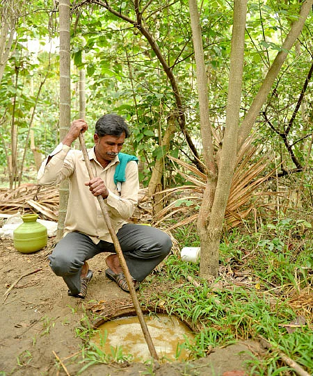 ஒரு ஏக்கர் நிலத்தில் இரண்டரை லட்சம்... செலவில்லா வருமானம்!
