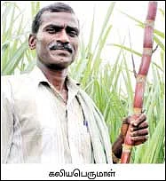 அரை ஏக்கரில், 1,200 கட்டு... பங்கம் இல்லா வருமானம்...
