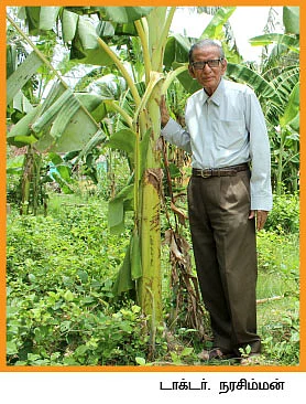 5 ஏக்கரில் 150 மூட்டை... ஒற்றை நாற்று தரும் ஒப்பற்ற வருமானம்!