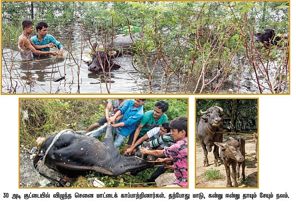 மிதந்து வந்த மீட்பர்கள்!