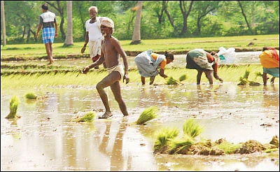 விவசாயிகளுக்குப் பயன் தருமா? நிதிநிலை அறிக்கை!