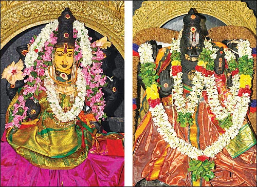 வேண்டும் வரம் அருளும் விண்ணளந்த பெருமாள்!
