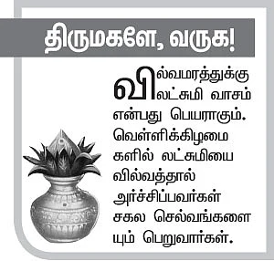 ஸ்ரீசாயி பிரசாதம் - 21