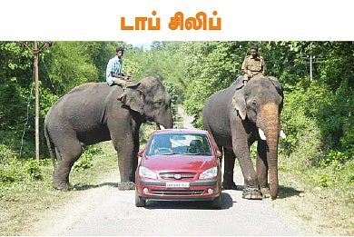 டூர் ஸ்பெஷல்