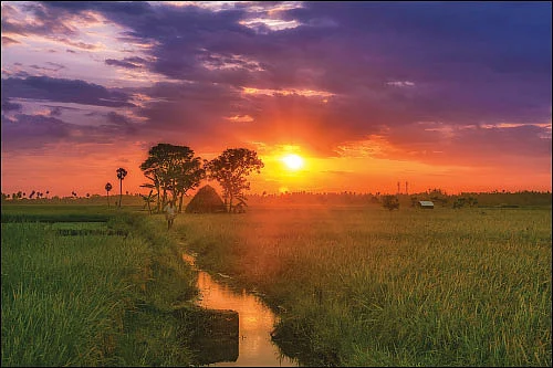 தனியே தன்னந்தனியே!