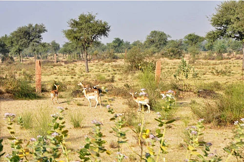 நெடுஞ்சாலை வாழ்க்கை - 37