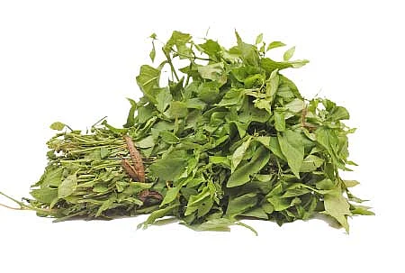 தினம் ஒரு கீரை! ஒரு கம்ப்ளீட் கைடு
