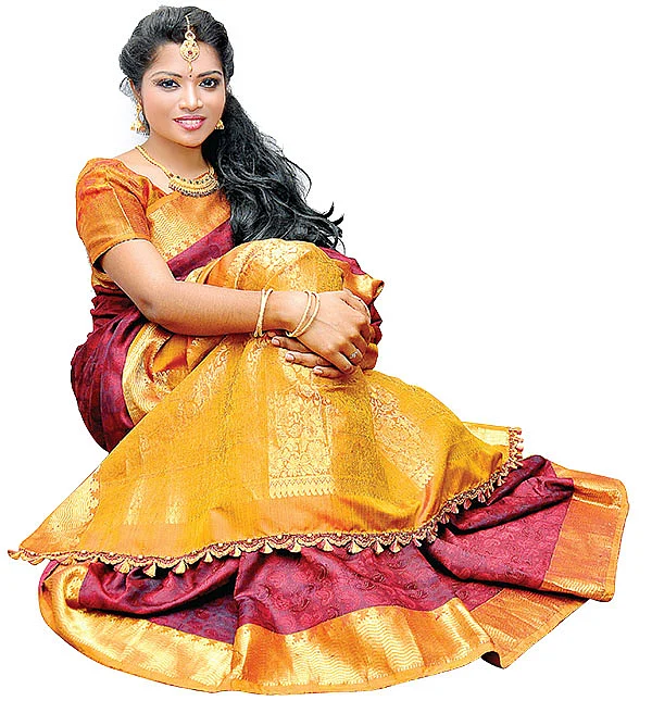 புடவை முந்தியில் டசல்ஸ் வேலைப்பாடு!