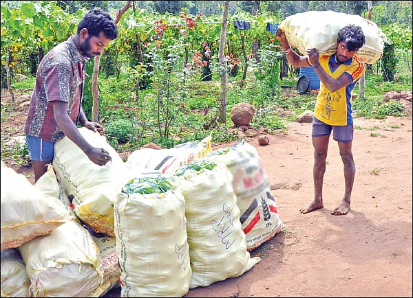 விளையும் விலையும்! - சந்தைக்கு வழிகாட்டும் தொடர்
