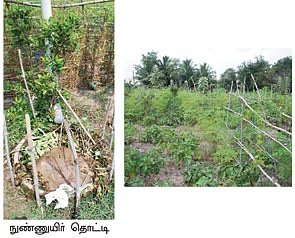 ''நாங்களும் விவசாயிங்கதான்...!''