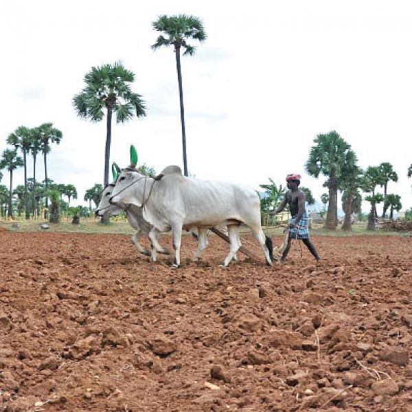 பயன்பாட்டுக்கு வராத ‘பலே’ பாக்டீரியாக்கள்! - உதவிக்கு வரும் உயிரியல் - 13