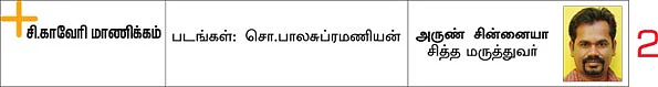 மறந்து போன மருத்துவ உணவுகள்