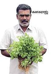 50 சென்ட்... 45 நாள்... 42 ஆயிரம்...