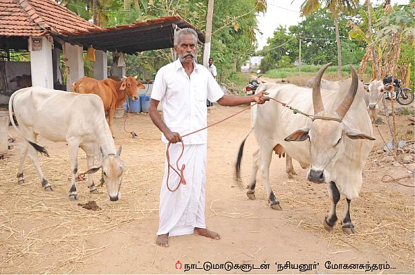 பஞ்சகவ்யா - 10