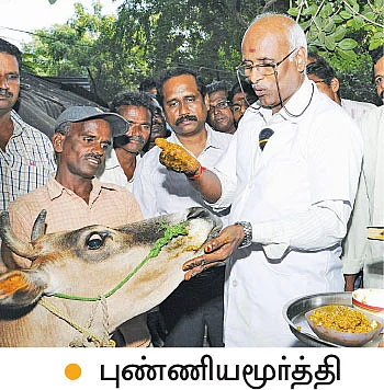 ஆடு வளர்ப்பில் அற்புத லாபம்!