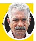 தஞ்சாவூர் ‘குட்டைகாரி!’ - ‘பலே’ பாரம்பர்ய மாடு...